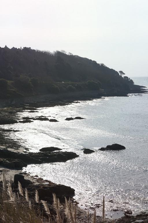 Park View Townhouse Hotell Falmouth Eksteriør bilde